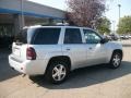 2007 Moondust Metallic Chevrolet TrailBlazer LT 4x4  photo #6