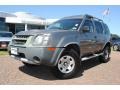 Granite Metallic - Xterra XE Photo No. 1
