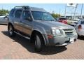 Granite Metallic - Xterra XE Photo No. 7