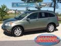 2008 Green Tea Metallic Honda CR-V EX-L  photo #1