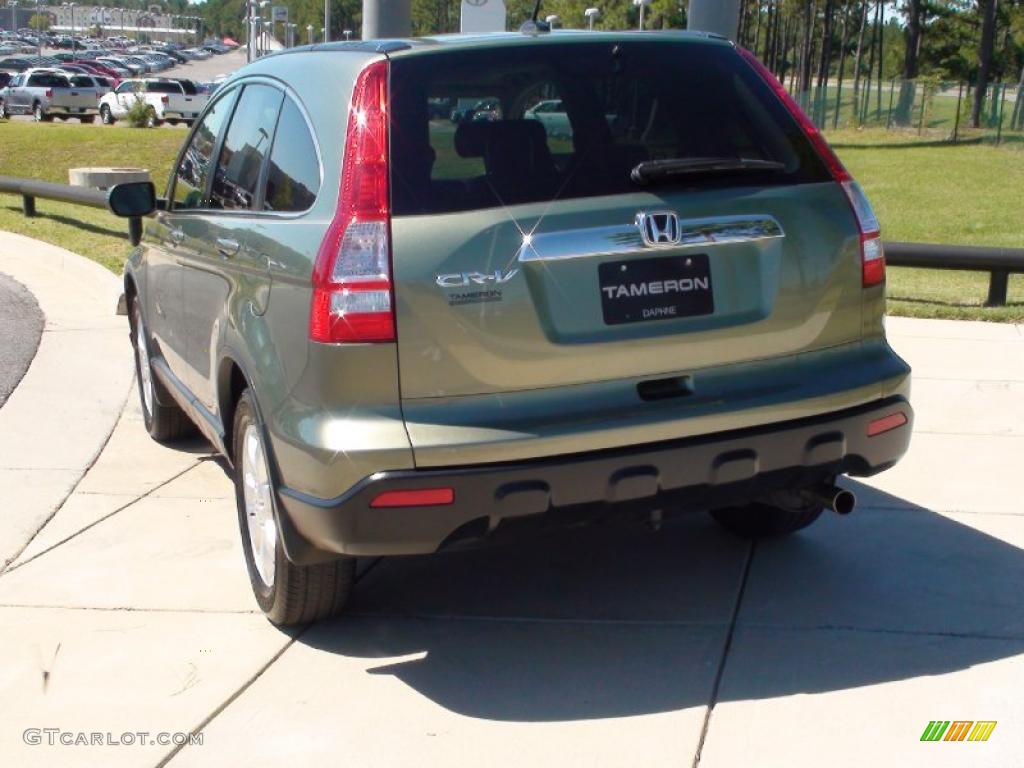 2008 CR-V EX-L - Green Tea Metallic / Ivory photo #7