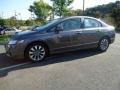 2010 Urban Titanium Metallic Honda Civic EX Sedan  photo #2