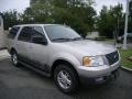 2004 Silver Birch Metallic Ford Expedition XLT 4x4  photo #7