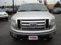 2009 Brilliant Silver Metallic Ford F150 XLT SuperCrew 4x4  photo #8