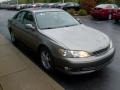 Antique Sage Pearl - ES 300 Sedan Photo No. 6