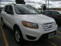 Pearl White - Santa Fe GLS Photo No. 13