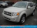 2008 Light Sage Metallic Ford Escape Limited 4WD  photo #18