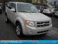 2008 Light Sage Metallic Ford Escape Limited 4WD  photo #20