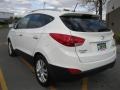 2010 Cotton White Hyundai Tucson Limited AWD  photo #15