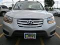 Radiant Silver - Santa Fe GLS 4WD Photo No. 12