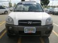 Nordic White - Tucson GLS V6 4WD Photo No. 12