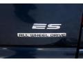 2003 Dodge Grand Caravan ES Badge and Logo Photo