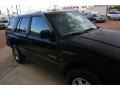 1996 Ebony Black Honda Passport LX 4WD  photo #16