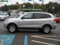 Bright Silver - Santa Fe GLS 4WD Photo No. 6