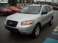 Bright Silver - Santa Fe GLS 4WD Photo No. 14