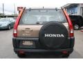 Mojave Mist Metallic - CR-V LX 4WD Photo No. 6