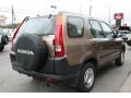 Mojave Mist Metallic - CR-V LX 4WD Photo No. 9