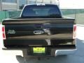 2010 Tuxedo Black Ford F150 XLT SuperCrew  photo #4