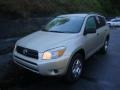 Beige Metallic - RAV4 4WD Photo No. 11