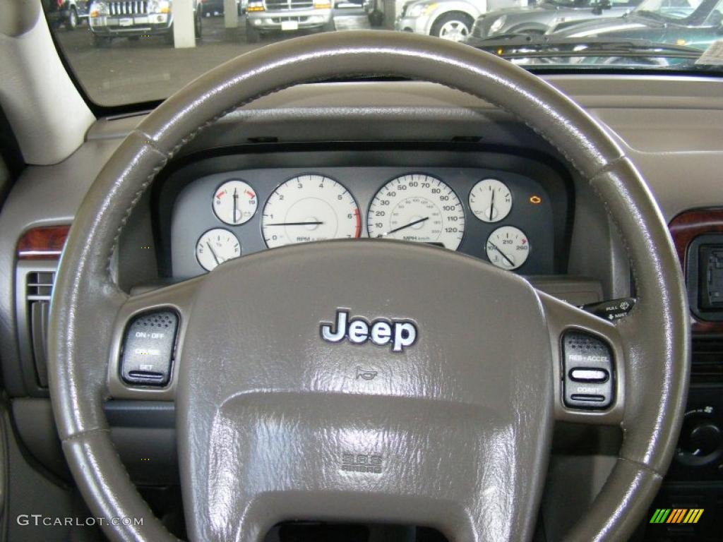 2004 Grand Cherokee Limited 4x4 - Graphite Metallic / Taupe photo #13