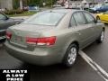 Natural Khaki - Sonata GLS Photo No. 7