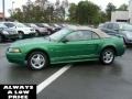 2001 Electric Green Metallic Ford Mustang V6 Convertible  photo #4