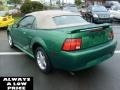 2001 Electric Green Metallic Ford Mustang V6 Convertible  photo #5