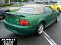 2001 Electric Green Metallic Ford Mustang V6 Convertible  photo #7