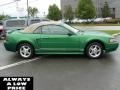2001 Electric Green Metallic Ford Mustang V6 Convertible  photo #8