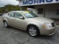 2009 Light Sandstone Metallic Dodge Avenger SXT  photo #2