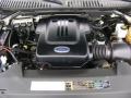4.6 Liter SOHC 16-Valve Triton V8 2003 Ford Expedition XLT 4x4 Engine