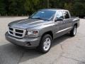 Mineral Gray Metallic - Dakota Big Horn Crew Cab 4x4 Photo No. 1
