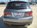 Polished Metal Metallic - RDX  Photo No. 6
