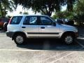 Sebring Silver Metallic - CR-V LX 4WD Photo No. 2