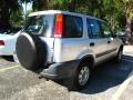 Sebring Silver Metallic - CR-V LX 4WD Photo No. 3