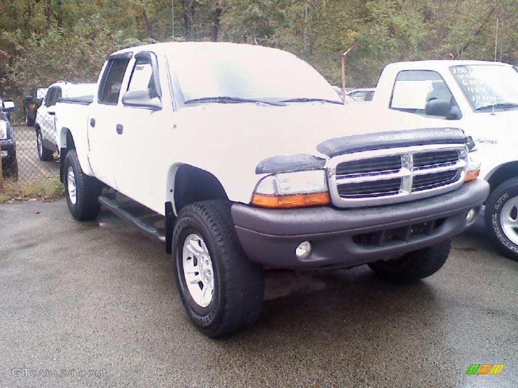 2004 Dakota SXT Quad Cab 4x4 - Bright White / Dark Slate Gray photo #1