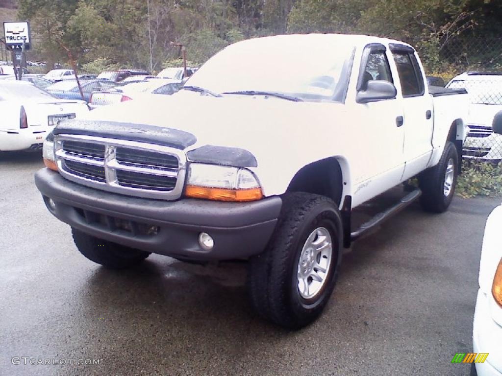 2004 Dakota SXT Quad Cab 4x4 - Bright White / Dark Slate Gray photo #2