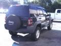 Black - Liberty CRD Sport 4x4 Photo No. 3