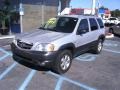 Satin Silver Metallic - Tribute LX-V6 Photo No. 2
