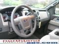 2010 Blue Flame Metallic Ford F150 XLT SuperCrew 4x4  photo #10