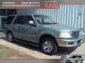 Vermont Green Metallic 1997 Ford Expedition XLT