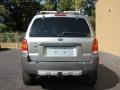 2006 Titanium Green Metallic Ford Escape XLT V6  photo #6