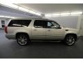 2008 Quicksilver Cadillac Escalade ESV AWD  photo #8