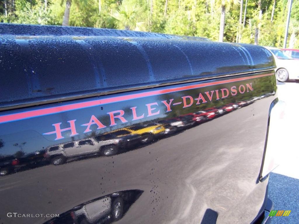 2006 F150 Harley-Davidson SuperCab - Black / Black photo #10
