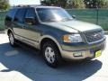 2003 Estate Green Metallic Ford Expedition Eddie Bauer  photo #1