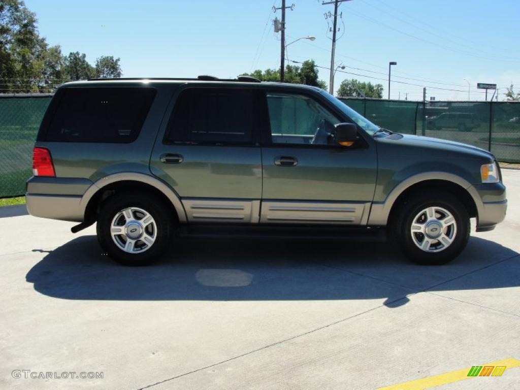 2003 Expedition Eddie Bauer - Estate Green Metallic / Medium Parchment photo #2