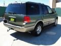 2003 Estate Green Metallic Ford Expedition Eddie Bauer  photo #3