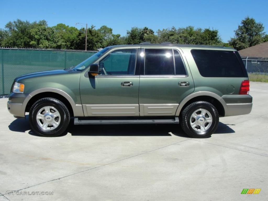 2003 Expedition Eddie Bauer - Estate Green Metallic / Medium Parchment photo #6