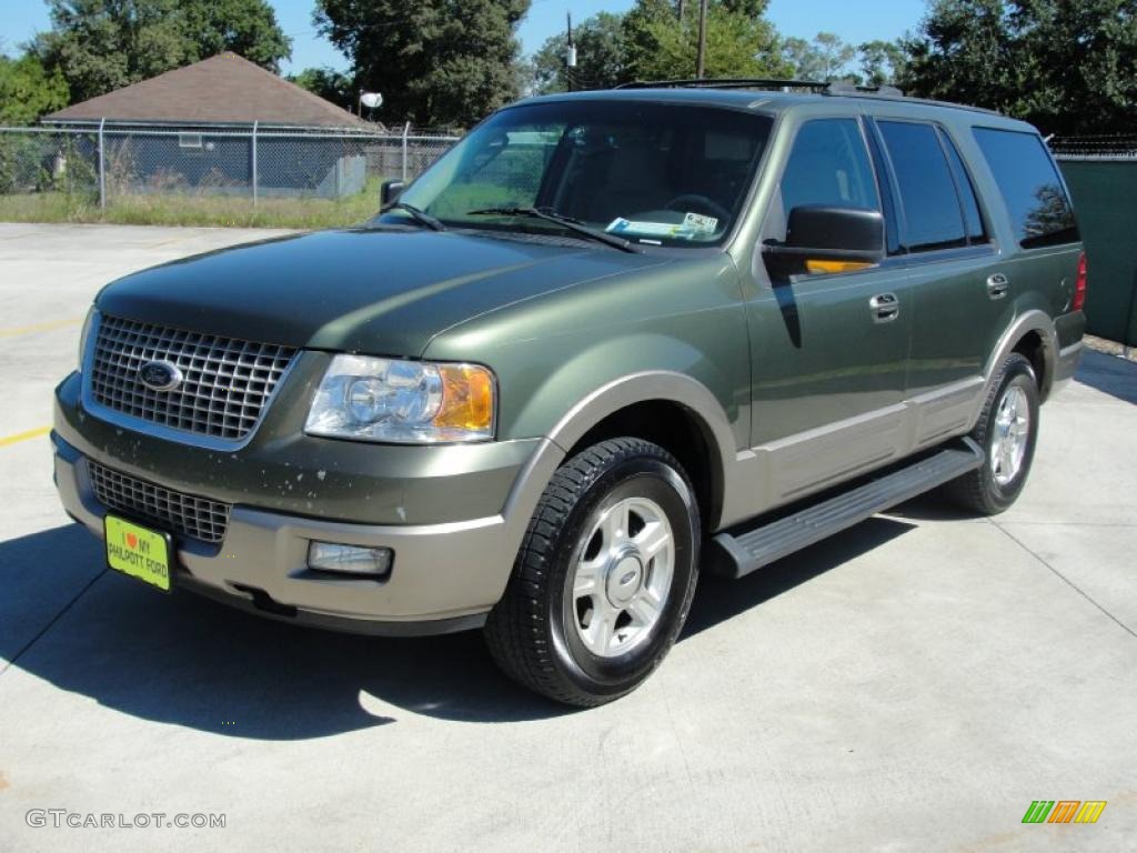 2003 Expedition Eddie Bauer - Estate Green Metallic / Medium Parchment photo #7