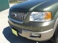 2003 Estate Green Metallic Ford Expedition Eddie Bauer  photo #12